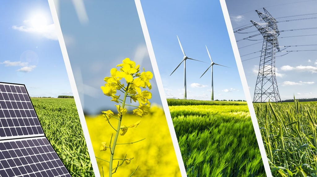 Um olhar sobre as Energias Renováveis