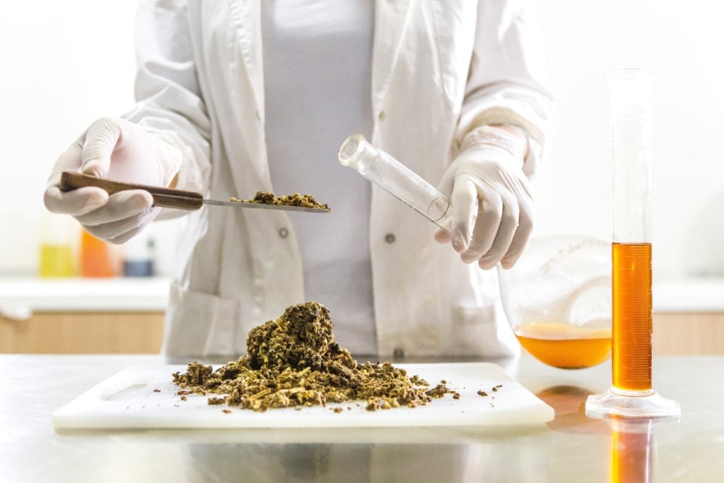 A Engenharia de Alimentos e suas áreas de atuação.