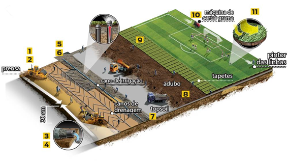 Linhas do gramado: Entenda cada uma