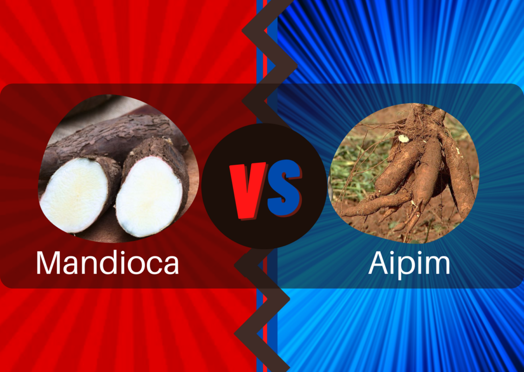Mandioca ou aipim? Como é correto chamar?