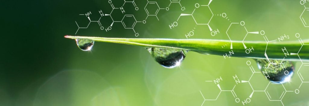 Entre a arte de ser sustentável e a engenharia química: rola química?