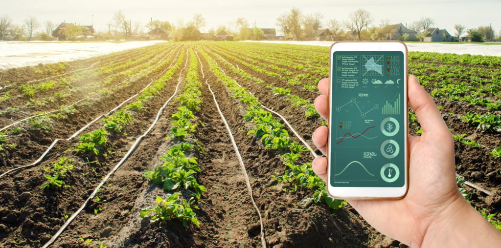 Agricultura e Redes Sociais: Nada a ver!
