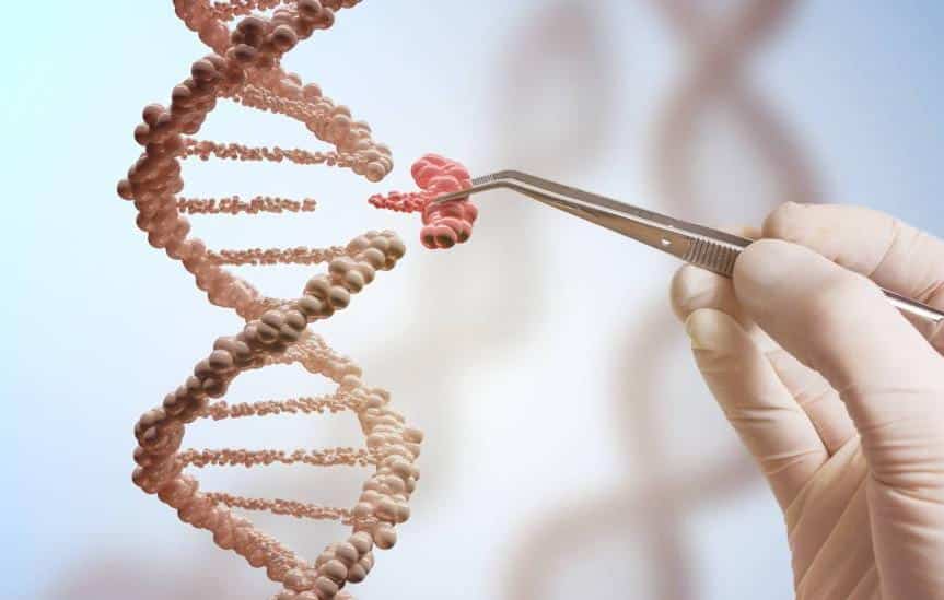 etapa de fabricação da vacina de DNA