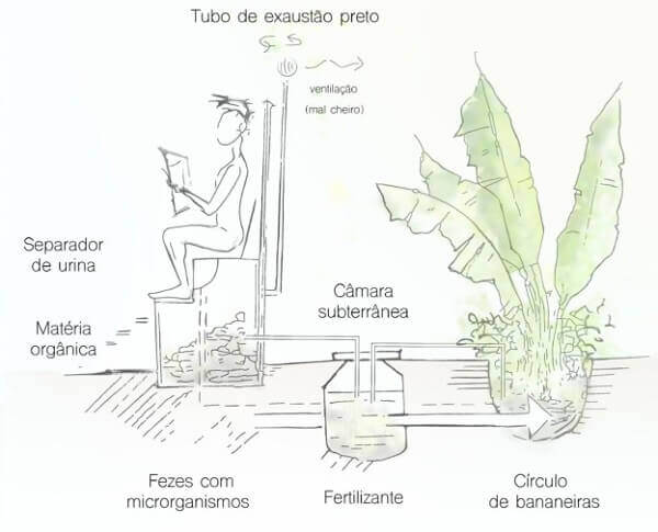 Banheiro seco bioconstrução sustentabilidade