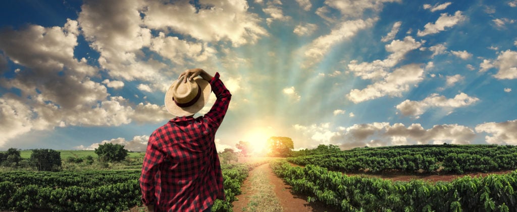Destrinchando: Engenharia Agronômica – Parte 1