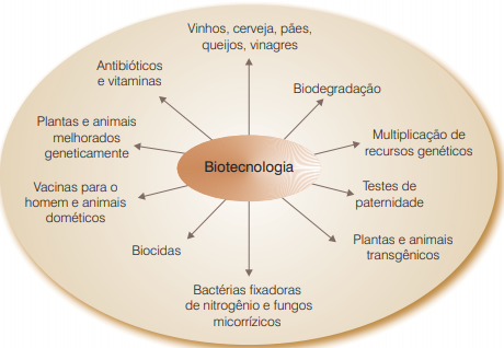 Biotecnologia e Transgênicos