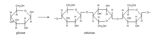 celulose