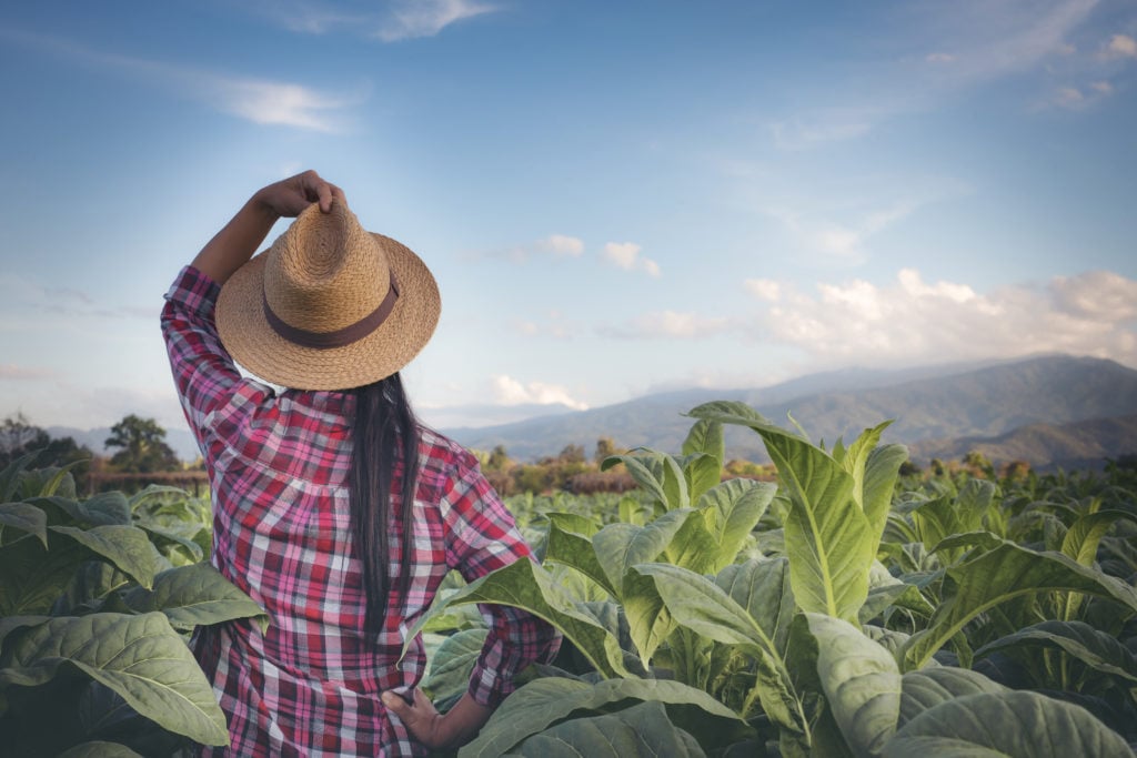 Mulheres do Agro: O que seríamos sem elas?
