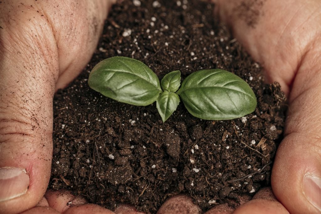 Engenharia Agronômica: O que você precisa saber