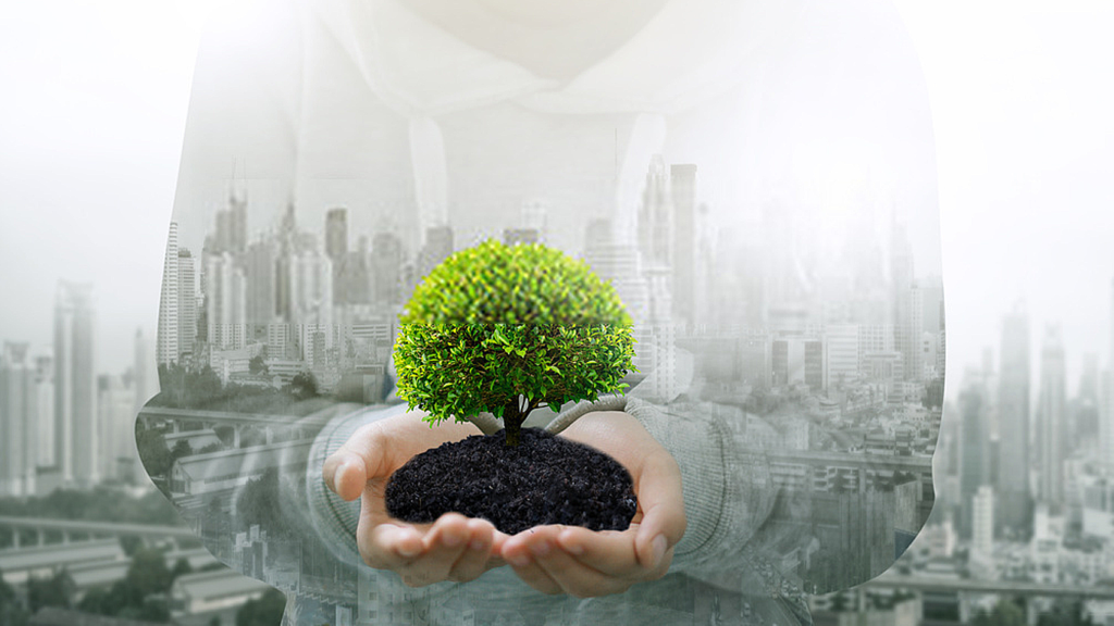 Dia Mundial do Meio Ambiente são todos os dias!