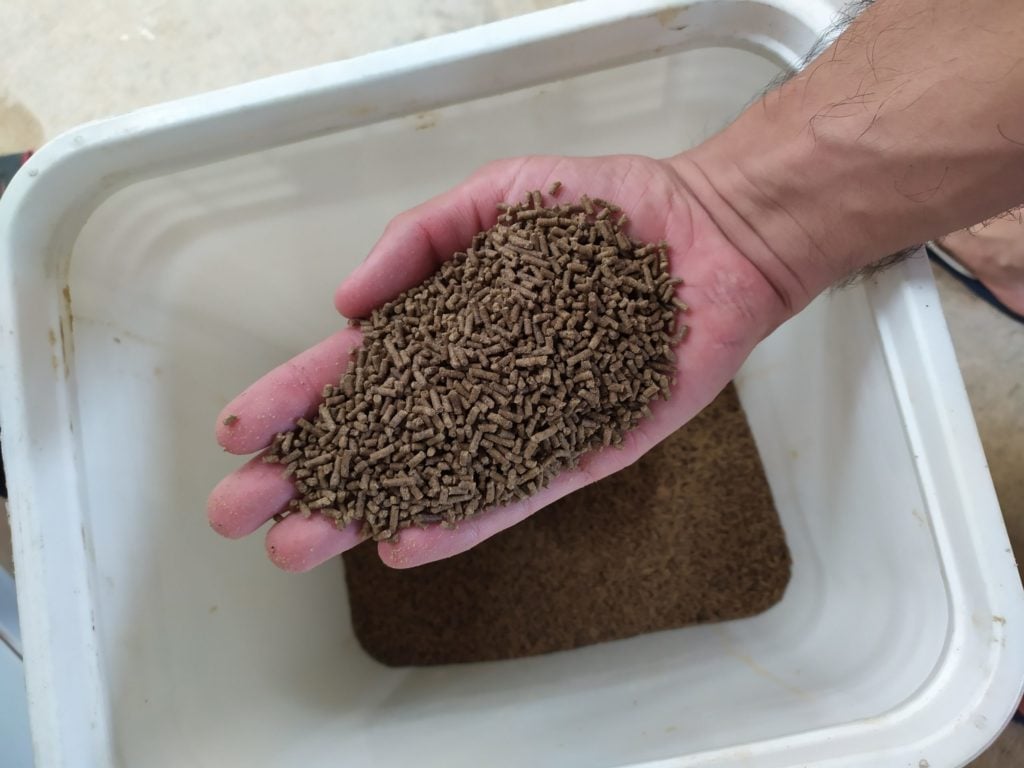 Nutrição na Aquicultura: o que você precisa saber!