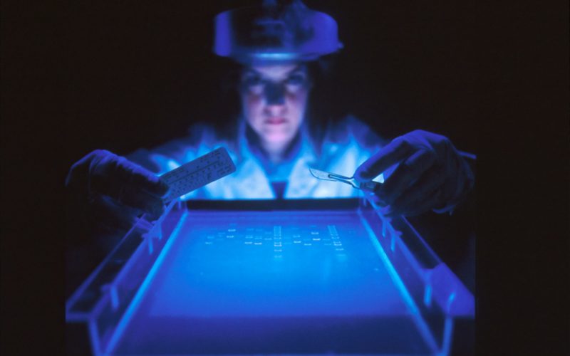 woman doing research while holding equipment