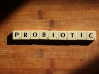 probióticos