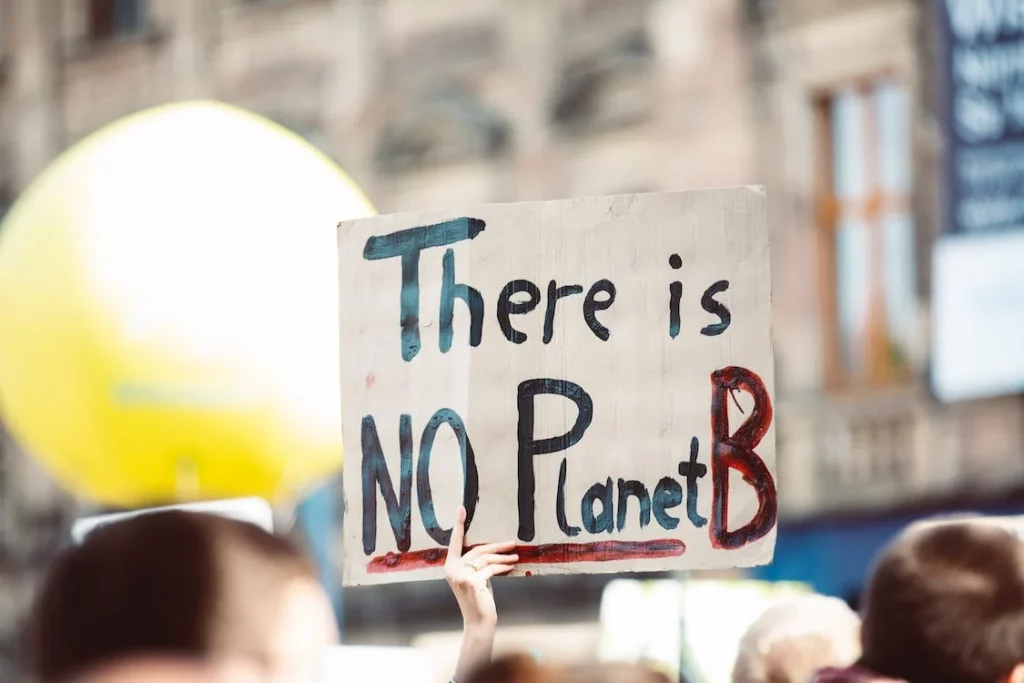 Entenda a COP 27!