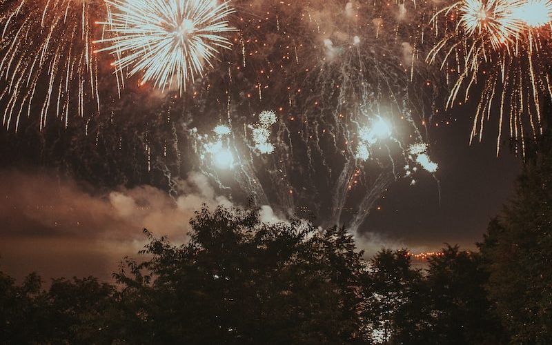 group of people watching fireworks display