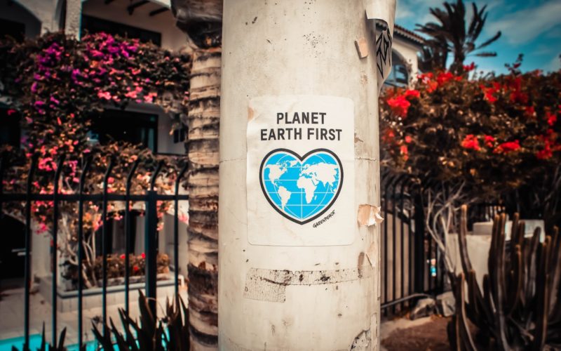 Planet Earth First signage sticked in gray post outdoors