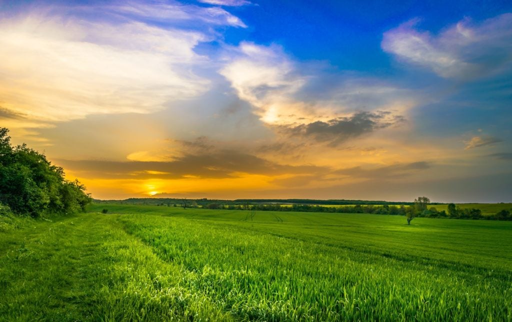 Conheça a Confederação da Agricultura e Pecuária do Brasil (CNA)