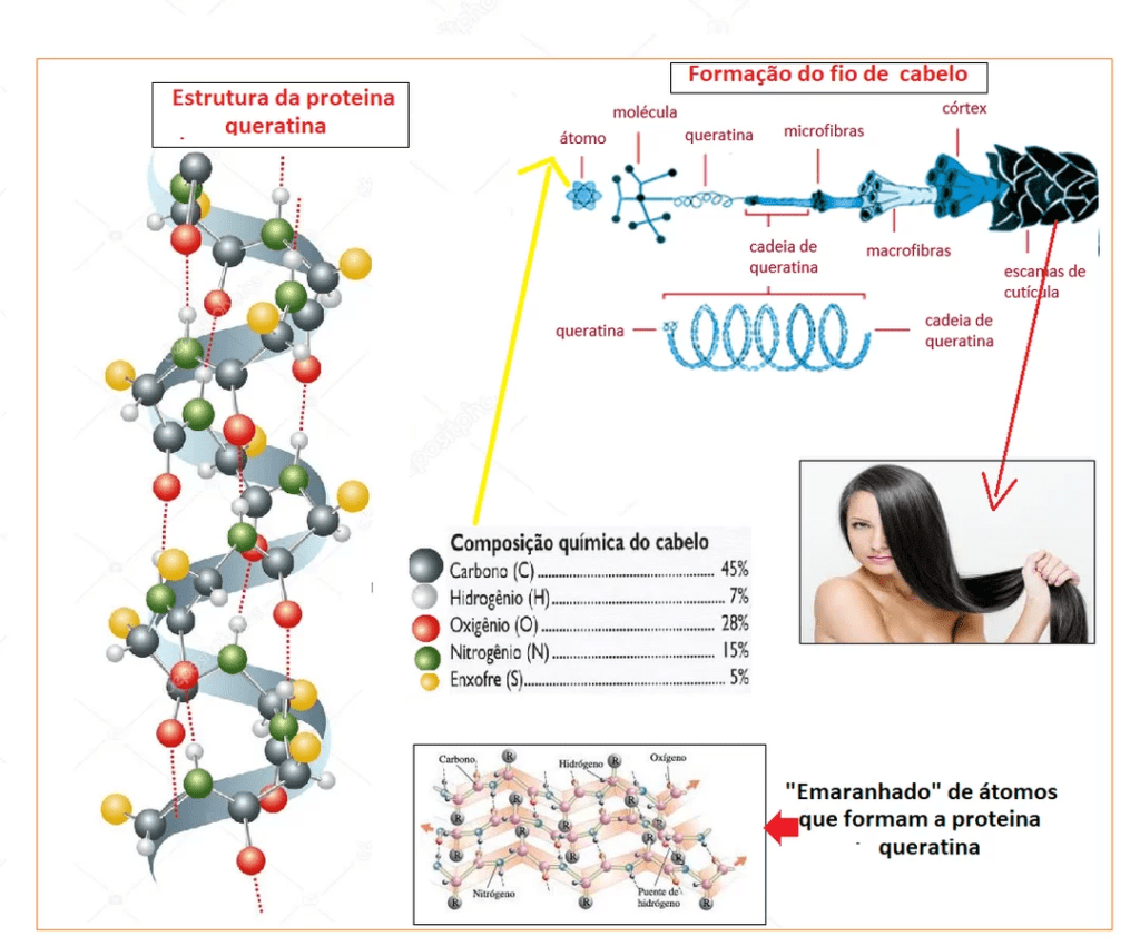 Composição química do cabelo