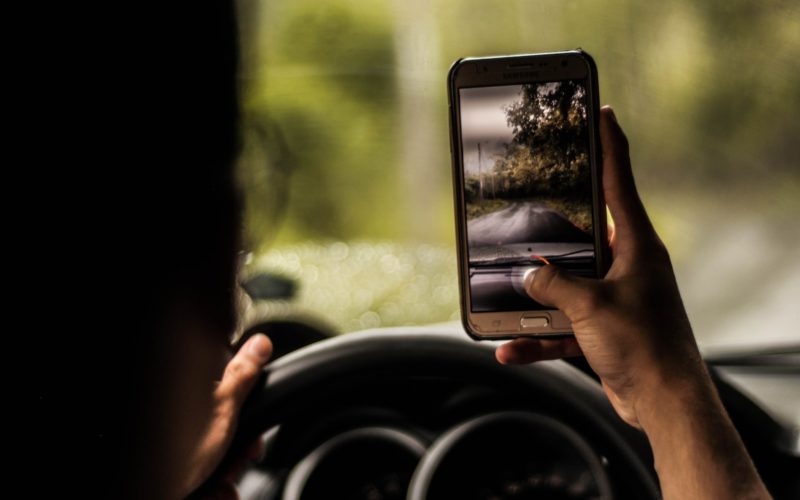 person taking a photo of trees