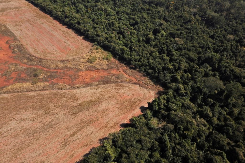 Desmatamento no Cerrado cresce 35% nos primeiros três meses de 2023