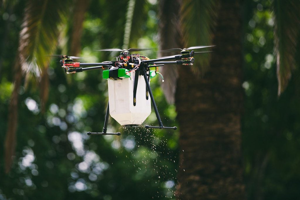 Do Céu à Terra: como os drones estão plantando esperança nas florestas