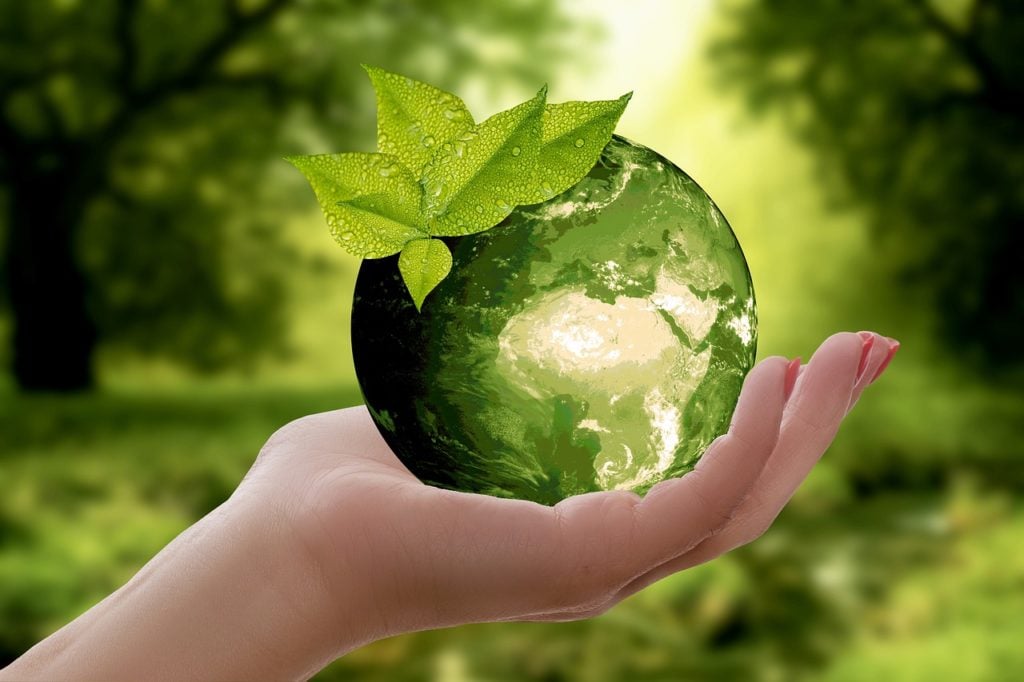 ESG: definições, consumo e mercado de trabalho
