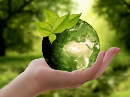 nature, earth, sustainability