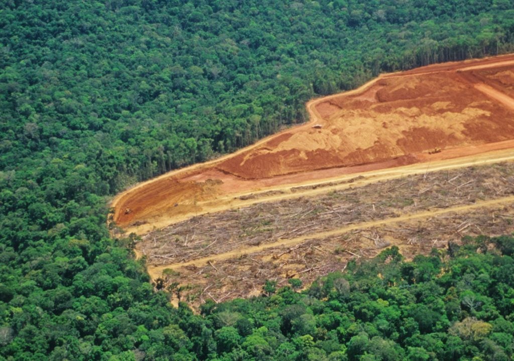 Brasil e Bolívia lideram o ranking de perda florestal