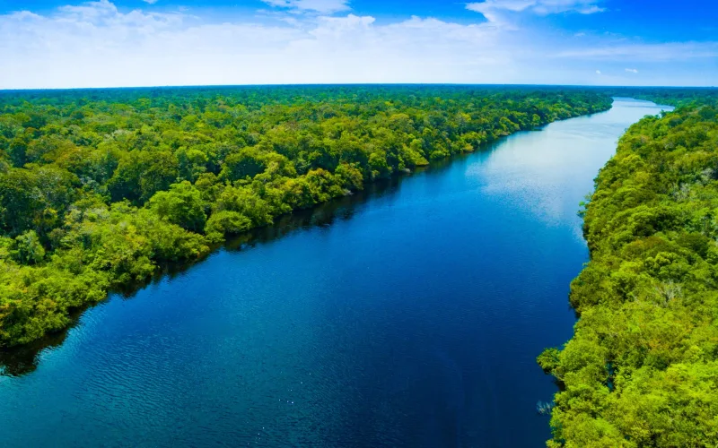 amazônia