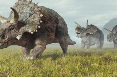 Engenharia: Novo Estudo Revela Limites Cognitivos dos Dinossauros