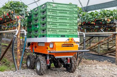 Novo Avanço em Robótica: Projeto Essencial para a Horticultura