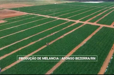 Novo Benefício Engenharia: Valorização Profissional e Jovens
