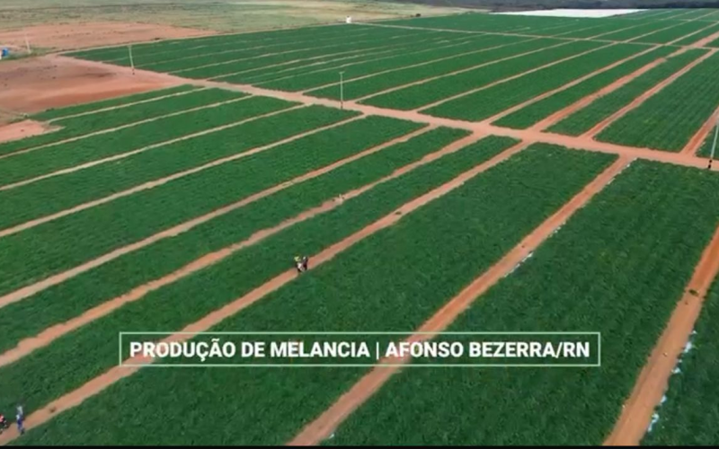 Novo Benefício Engenharia: Valorização Profissional e Jovens