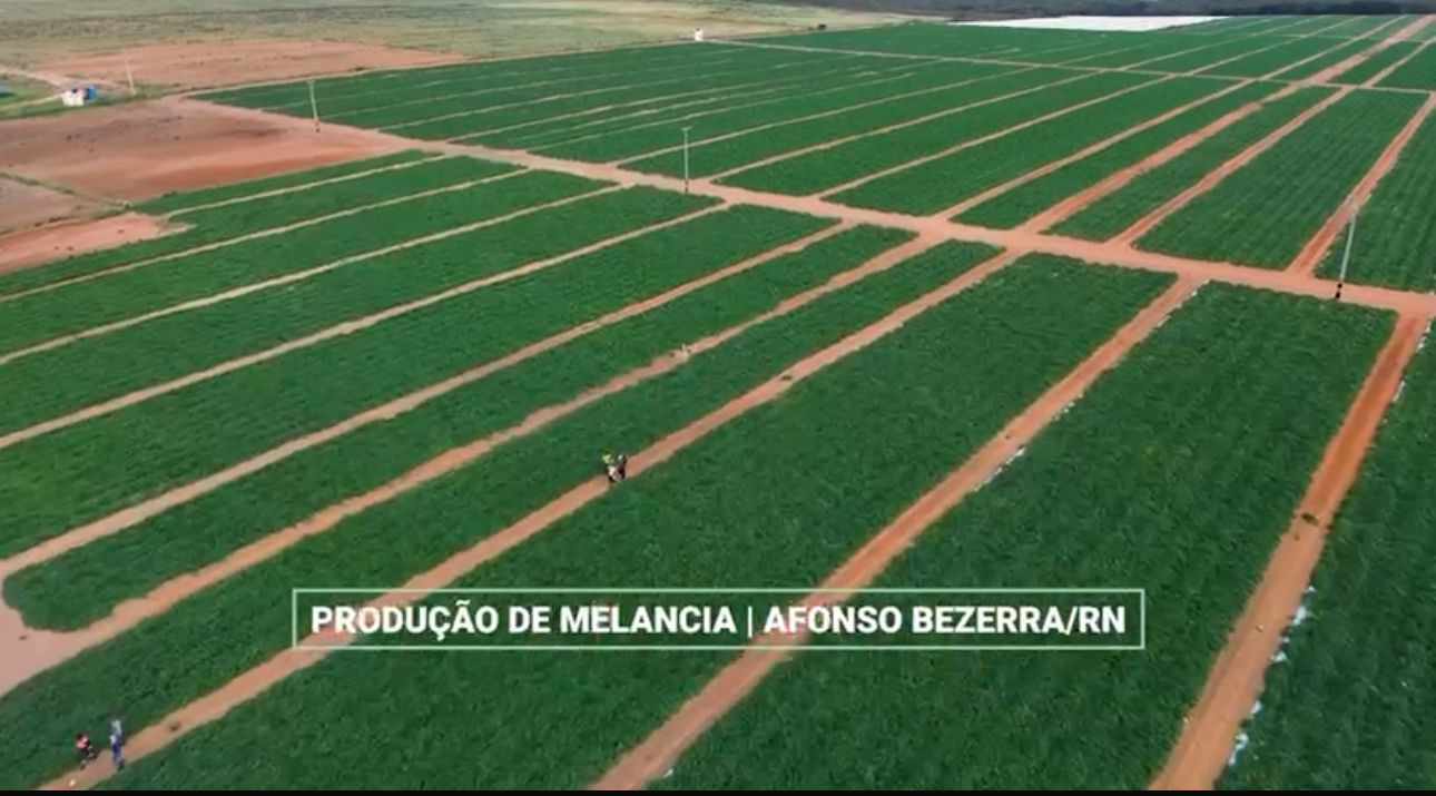 Novo Benefício Engenharia: Valorização Profissional e Jovens