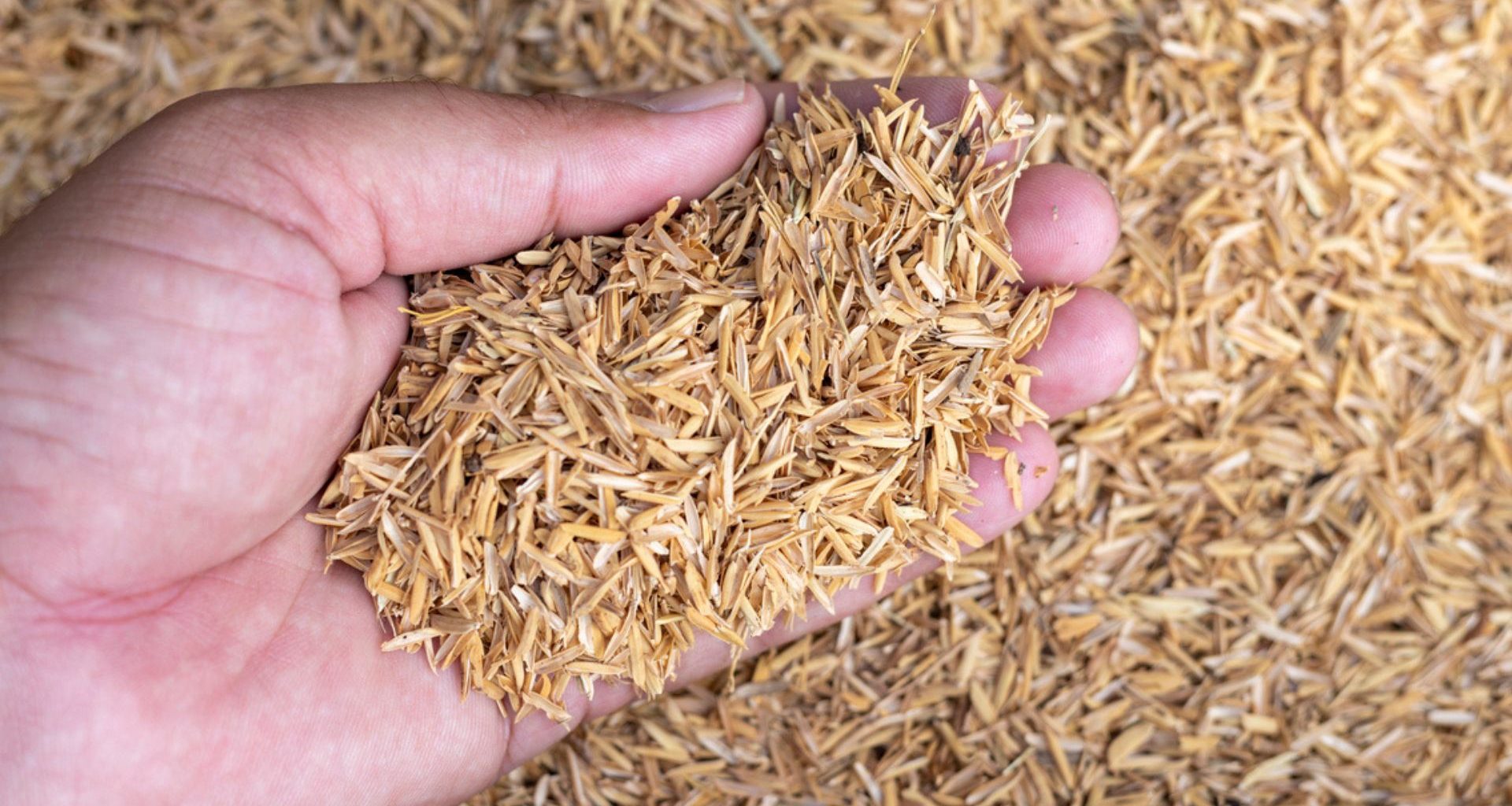 Novo Carbono de Cinzas de Arroz Dobra Capacidade de Baterias