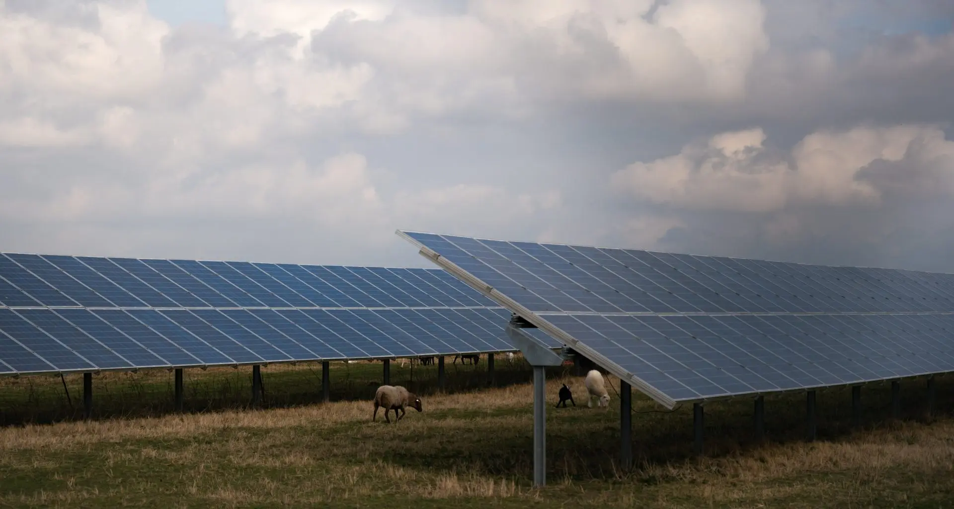 Novo Marco: Engenharia Revoluciona Mercado Energético da UE