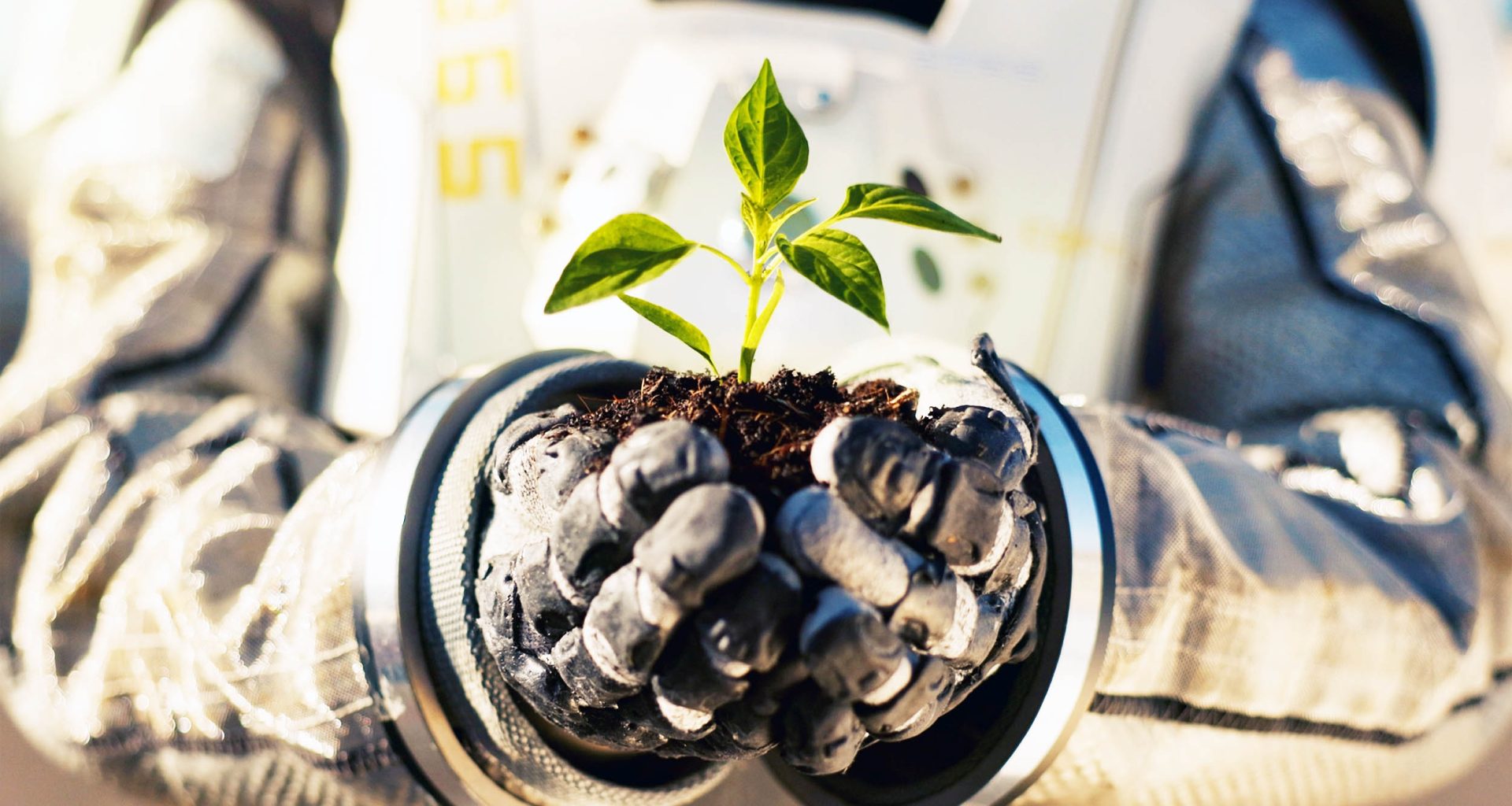 Novo Avanço na Engenharia: Cultivo de Plantas em Marte