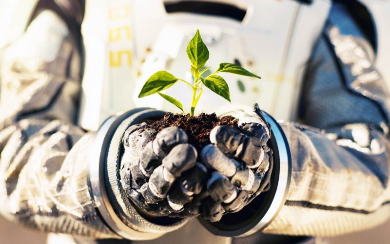 Novo Avanço na Engenharia: Cultivo de Plantas em Marte