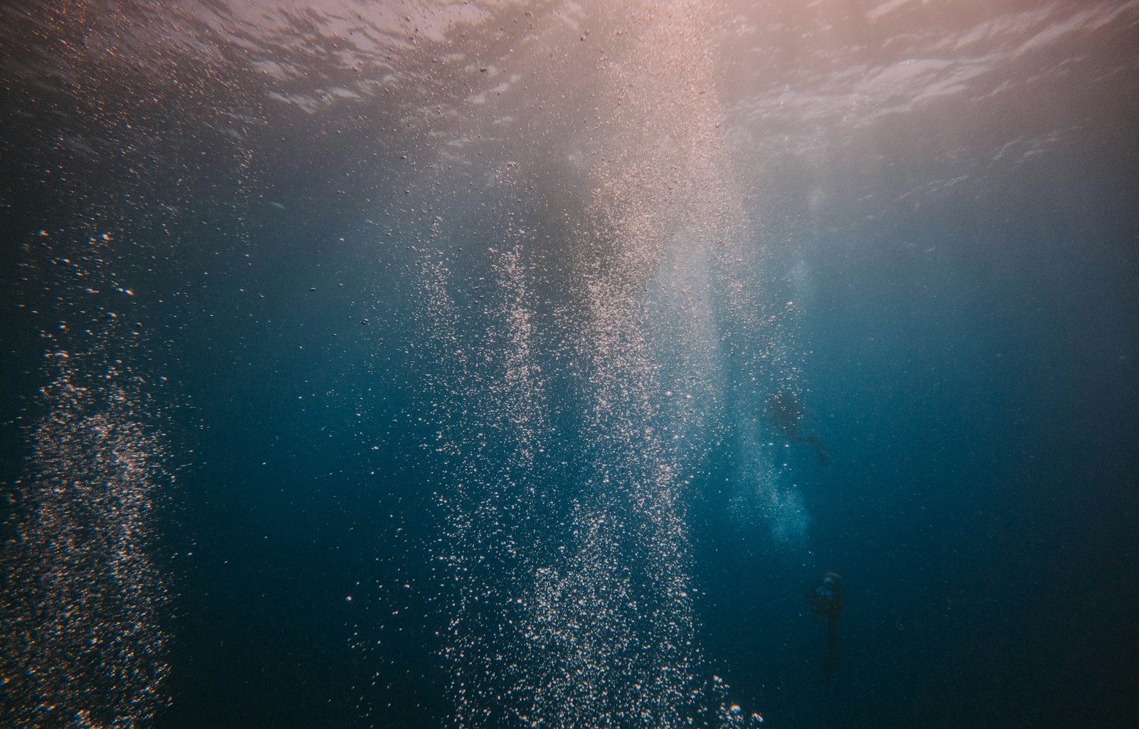 "56% dos oceanos mudaram de cor: Fitoplâncton redefine sumidouros de carbono"