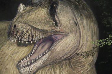 "3 Novas Espécies de Dinossauros: Descobertas Redefinem a História"