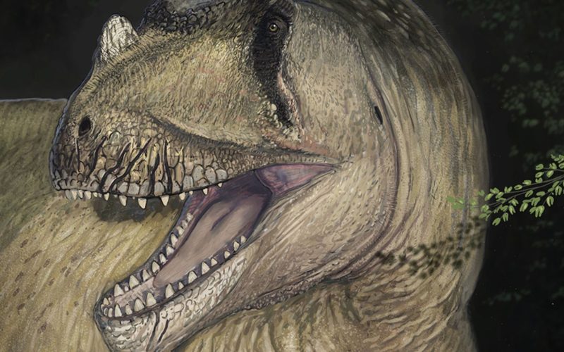 "3 Novas Espécies de Dinossauros: Descobertas Redefinem a História"