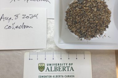 "48 Toneladas Diárias: Meteorito Capturado no Canadá Revoluciona Estudos Cósmicos"