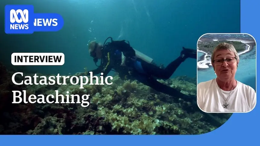 "6 Eventos de Branqueamento: Crise na Grande Barreira de Corais Ameaça Ecossistema e Economia"