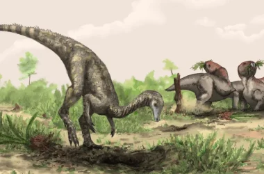 "Triássico Redefinido: Origem dos Dinossauros Comprova Evolução Pós-Pangeia"