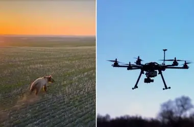 Tecnologia animal: Drones são usados para afastar ursos e evitar ataques a humanos! Equipamento de última geração mostra como a natureza e a tecnologia podem andar juntas. Os resultados são surpreendentes, igual aquela vez que inventaram a cerca elétrica para proteger o gado na fazenda. Um avanço que está mudando a forma como lidamos com animais selvagens. Vale a pena compartilhar essa novidade com a galera! Nossa fauna também precisa dessas inovações.