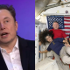 Elon Musk diz que poderia ter resgatado astronautas da NASA presos no espaço há meses, mas...