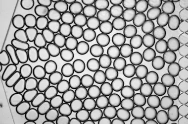 Diamantes microscópicos revolucionam detecção de substâncias químicas com tecnologia quântica