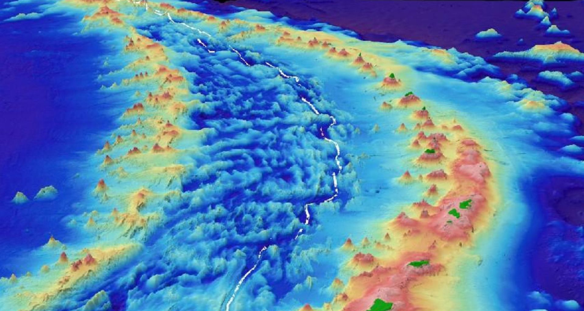 7 mil novas espécies descobertas no ponto mais profundo do oceano da Terra