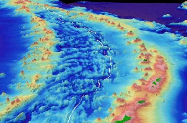 7 mil novas espécies descobertas no ponto mais profundo do oceano da Terra