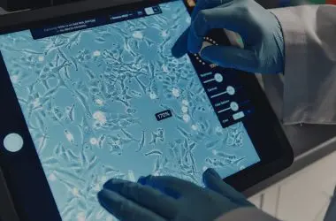 Previsão é Prioridade: Diretores da BMS revelam estratégia de Inteligência Artificial